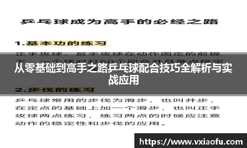 从零基础到高手之路乒乓球配合技巧全解析与实战应用