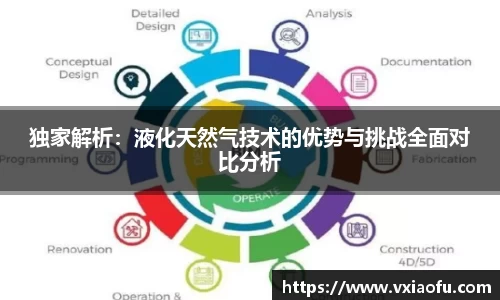 独家解析：液化天然气技术的优势与挑战全面对比分析