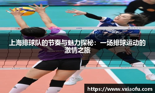 上海排球队的节奏与魅力探秘：一场排球运动的激情之旅