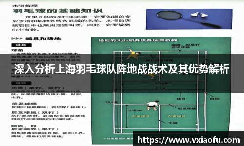 深入分析上海羽毛球队阵地战战术及其优势解析