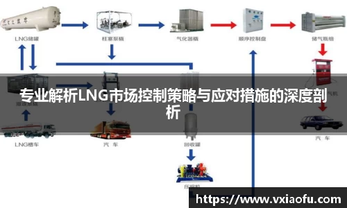 专业解析LNG市场控制策略与应对措施的深度剖析