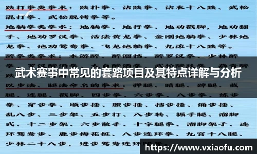 武术赛事中常见的套路项目及其特点详解与分析