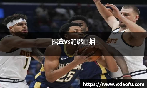 掘金vs鹈鹕直播