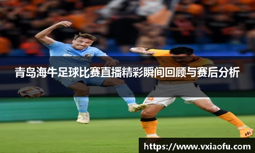 青岛海牛足球比赛直播精彩瞬间回顾与赛后分析