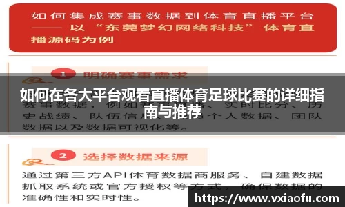 如何在各大平台观看直播体育足球比赛的详细指南与推荐