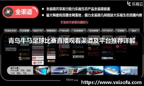 青岛牛马足球比赛直播观看渠道及平台推荐详解